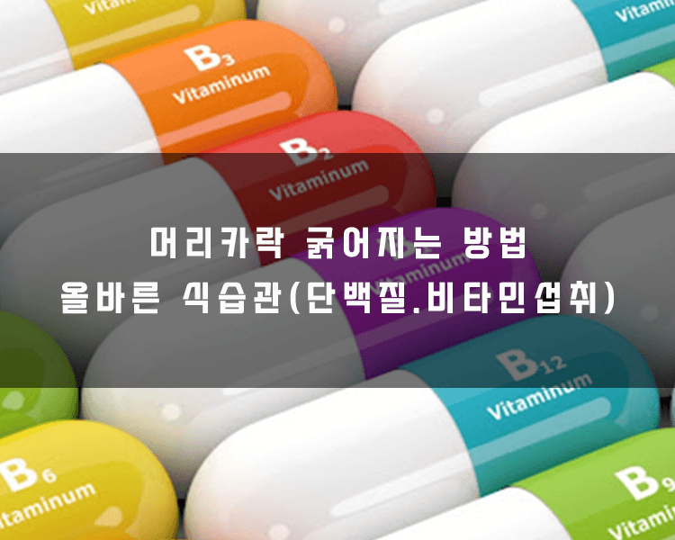 머리카락 굵어지는 방법 - 단백질, 비타민섭취