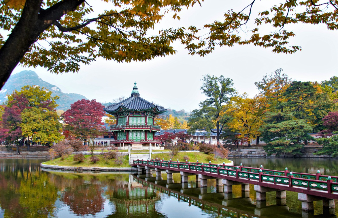 65세 정부지원 복지혜택