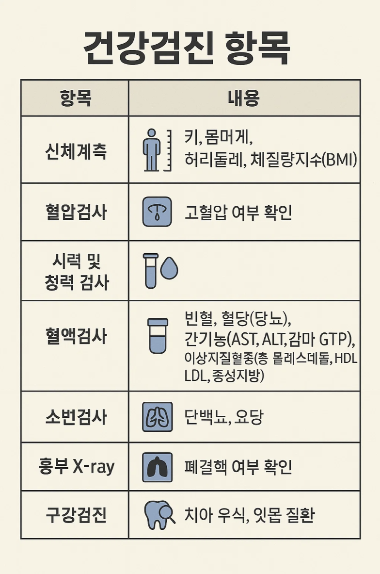 건강검진 항목 정리표 인포그래픽