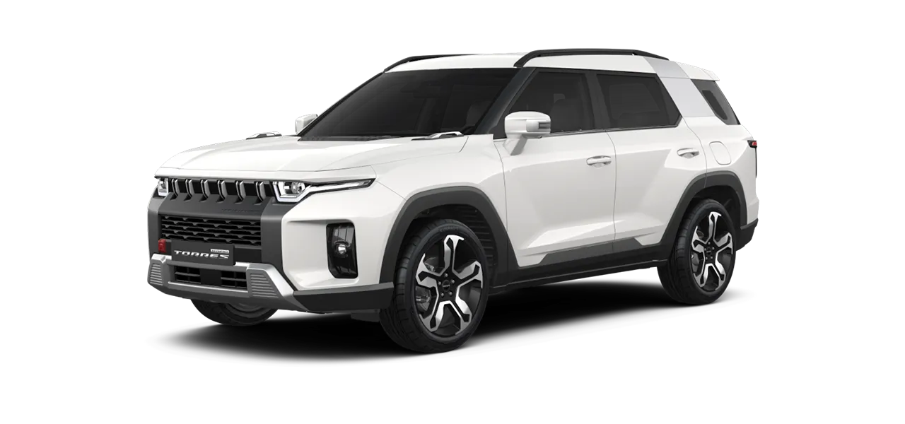 토레스 하이브리드 이미지