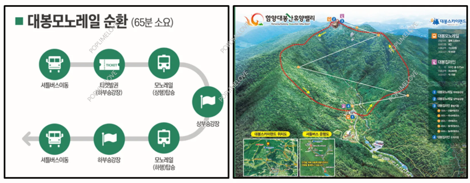 대봉산 모노레일 예약