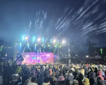 진도 신비의 바닷길 축제_15