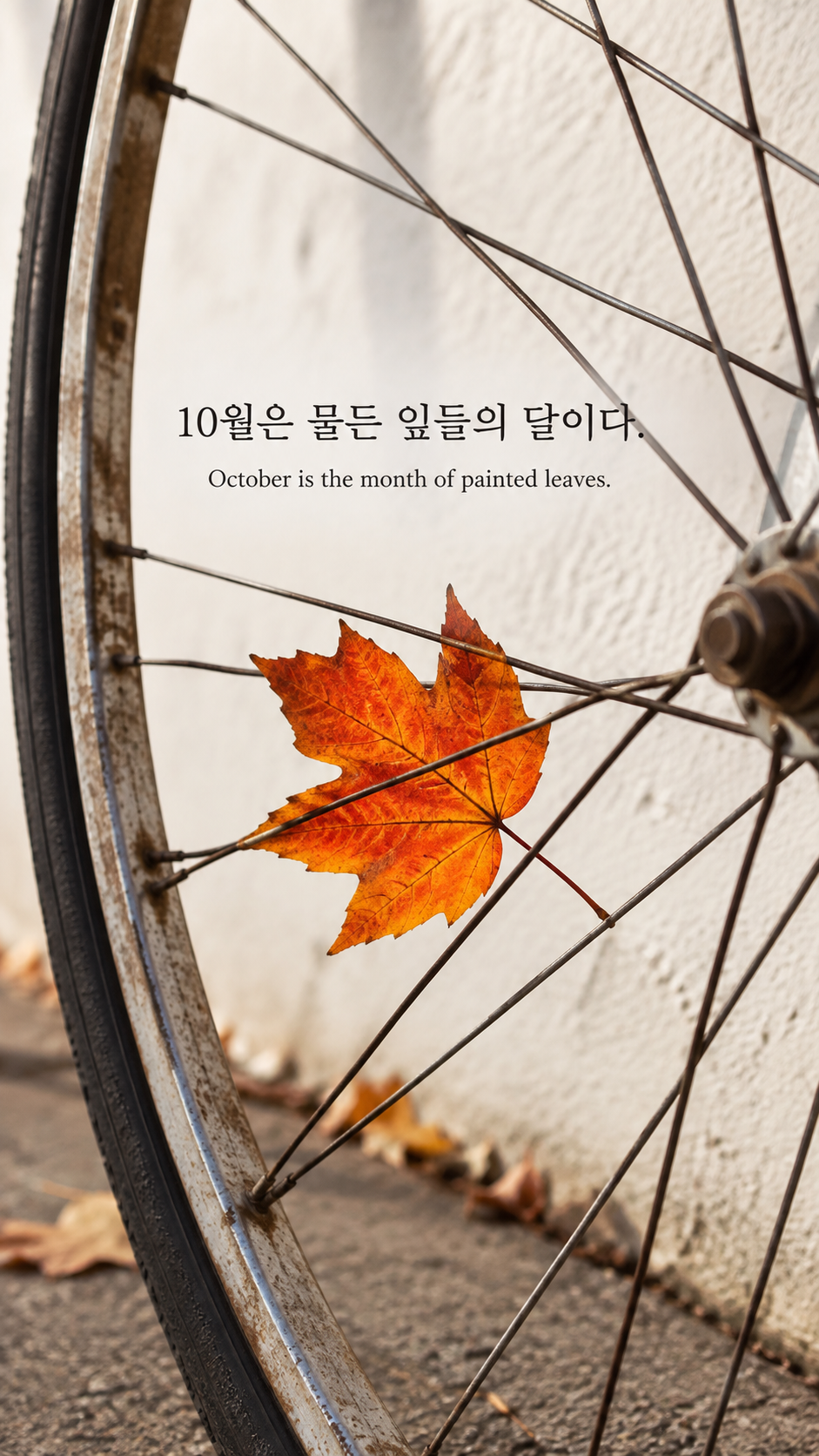 헨리 데이비드 소로의 물든 잎의 달에 관한 가을 글귀 &mdash; 한글과 영어 원문을 담은 디지털 카메라 사진