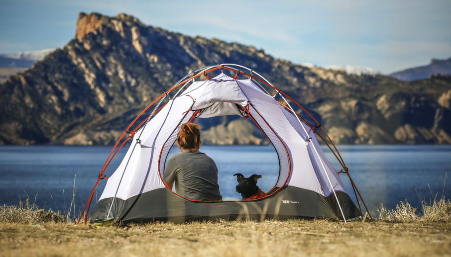 반려견 동반 캠핑장