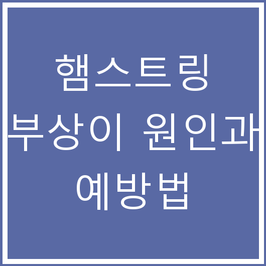햄스트링 부상이 원인과 예방법