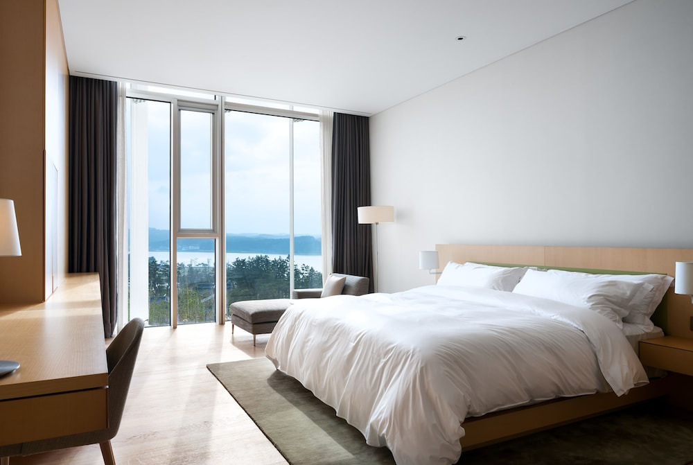 강릉 최고 5성급 오션뷰 호텔 예약 꿀팁