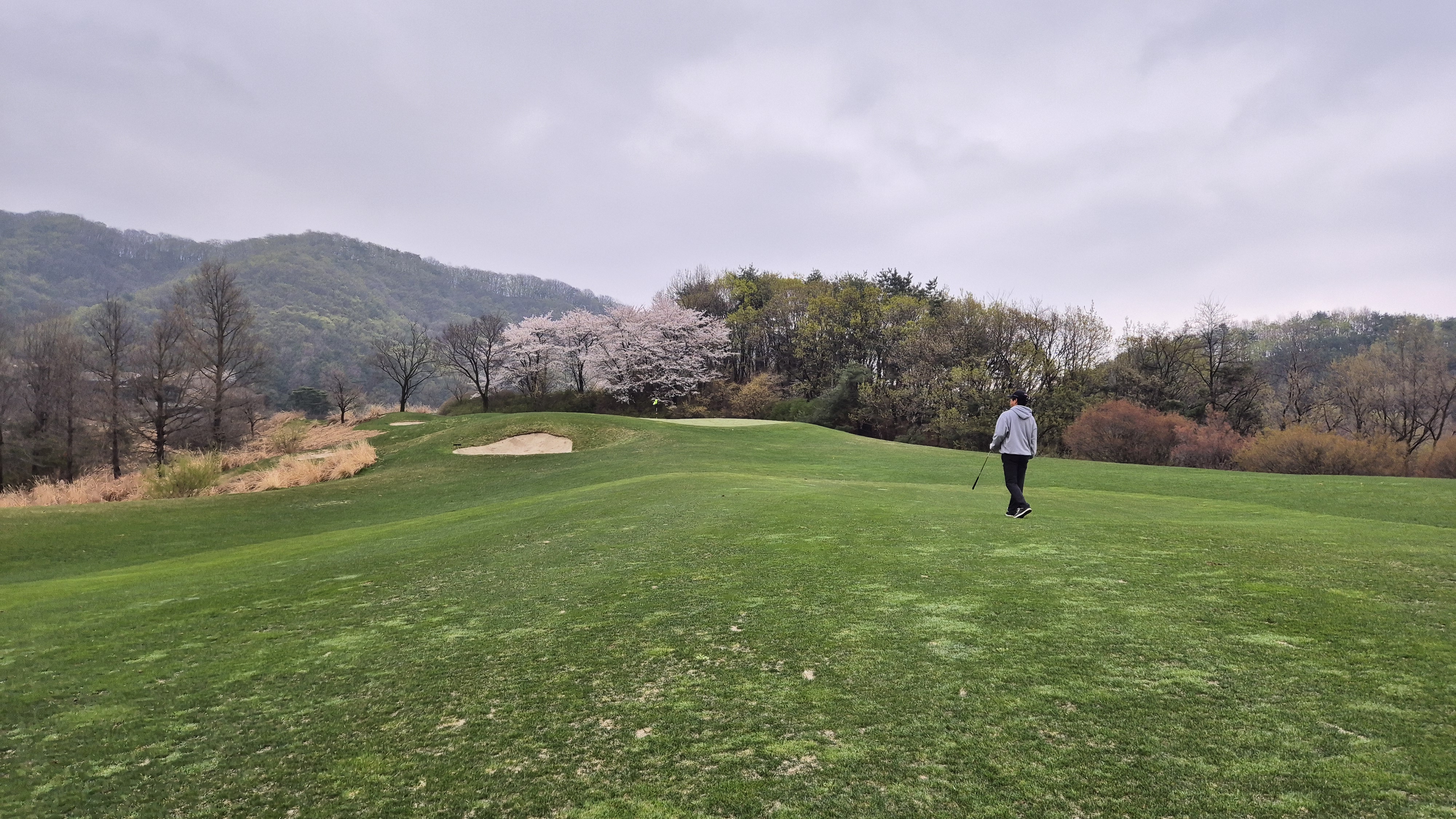 레인보우힐스cc 동-남 코스 사진 및 공략 정보