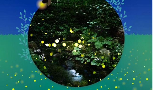 화담숲 예약&amp;#44; 2025년 반딧불이 축제 사전예매