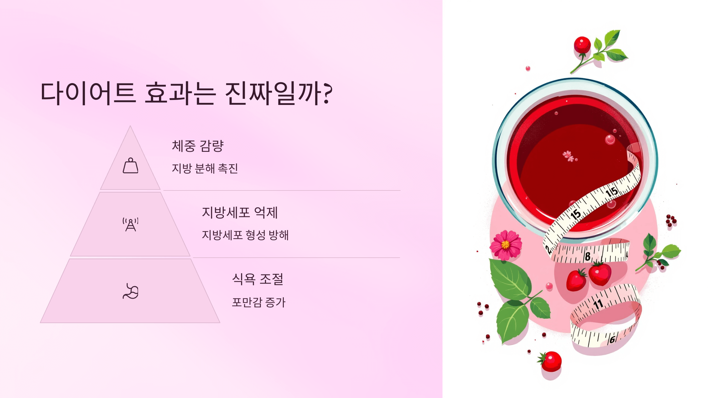 히비스커스 사진입니다.