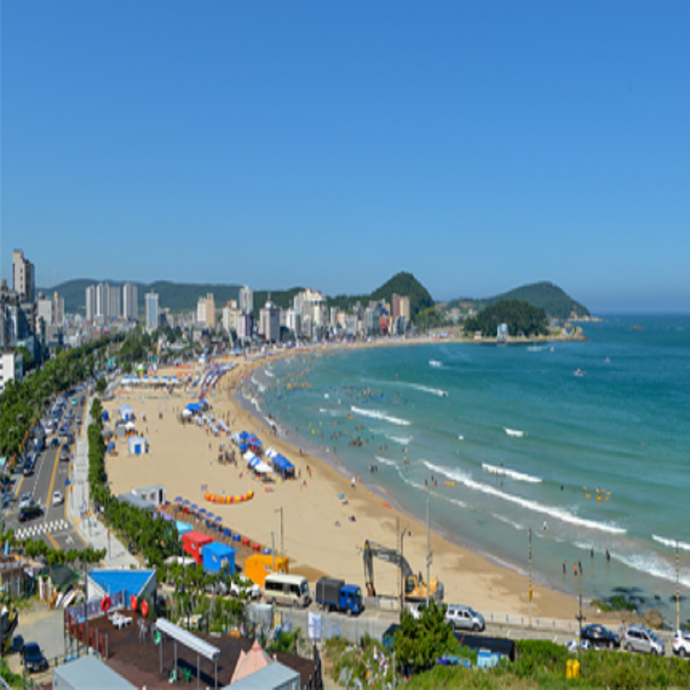 송정 해수욕장 바로가기