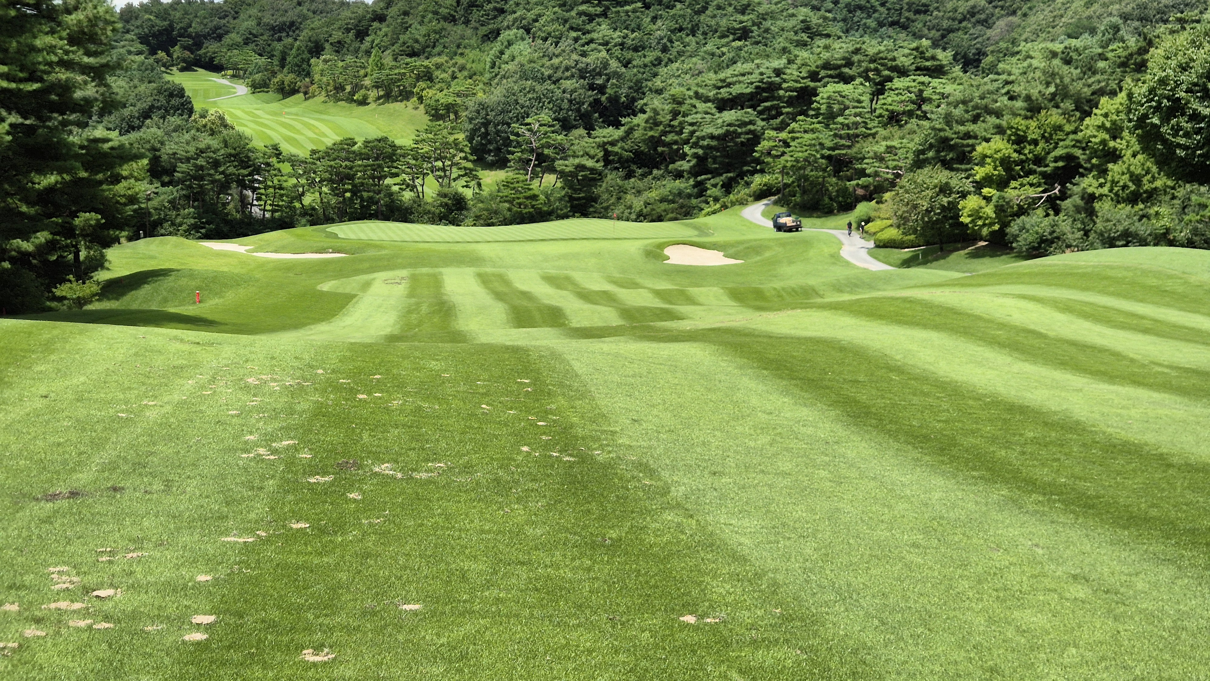 스카이밸리cc