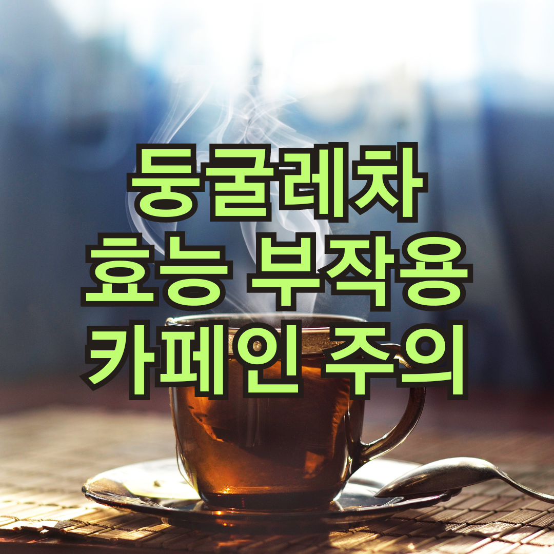 둥굴레차 효능 부작용 카페인 물 대신 마시기 적절한 섭취량