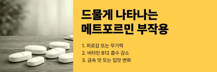 메트포르민 부작용