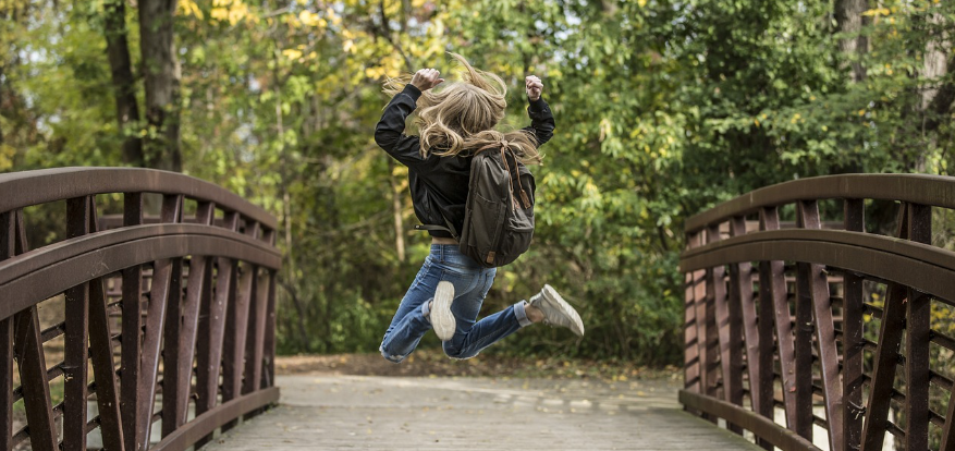 학교폭력 생활기록부