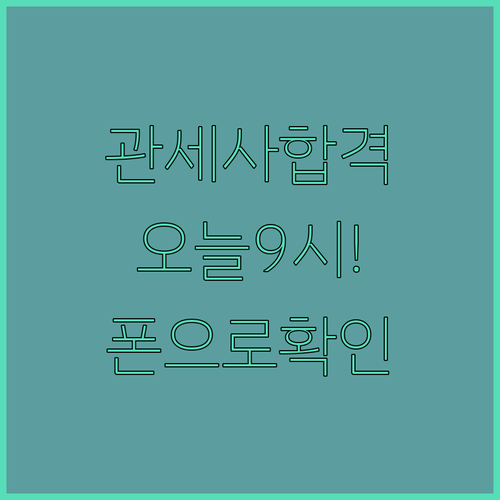 관세사 1차 합격자 발표 시간 및 큐..