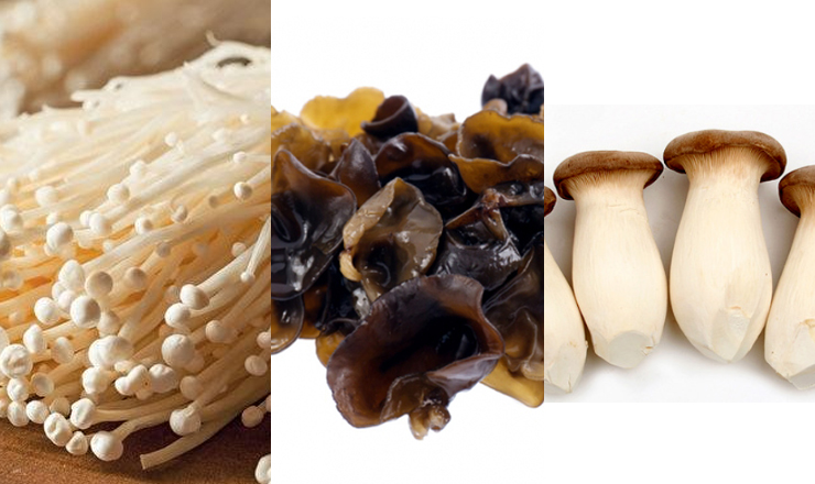 팽이버섯 목이버섯 새송이버섯