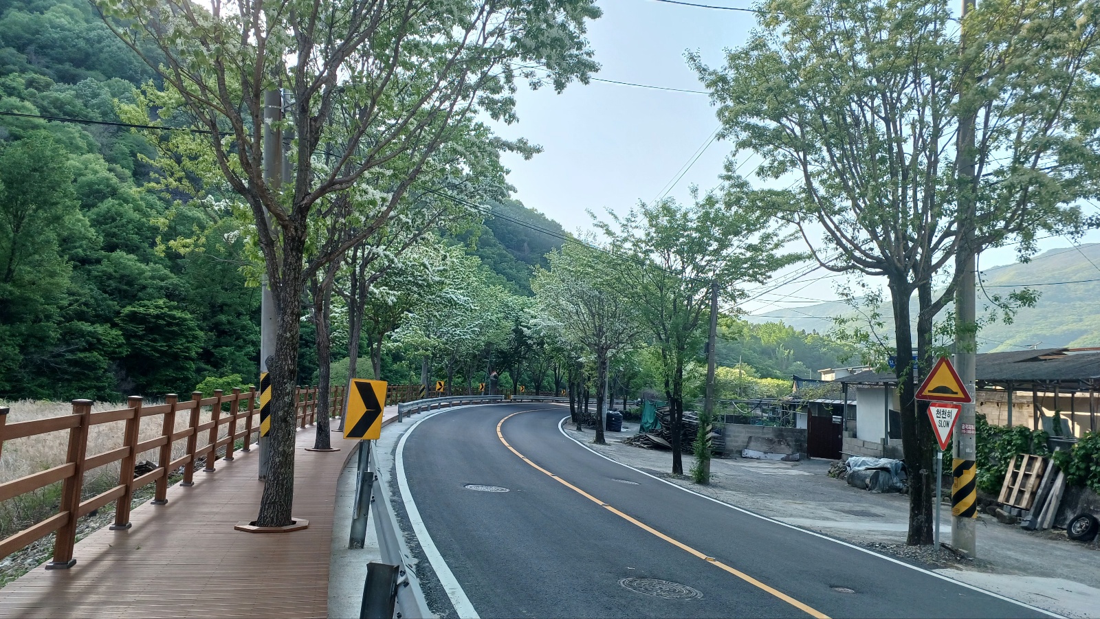 밀양댐 생태공원 이팝나무길13