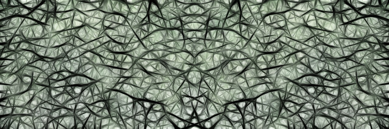 뇌수막염 관련 사진