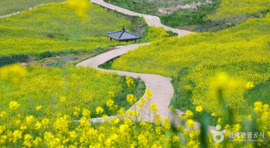 완도 가볼만한곳 베스트10