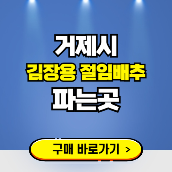 거제시 절임배추 사전예약 구입하는곳 ❘ 김장배추 파는곳 가격보기