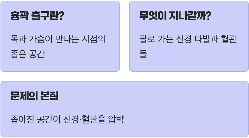 신경과 혈관이 지나가는 좁은 골목길