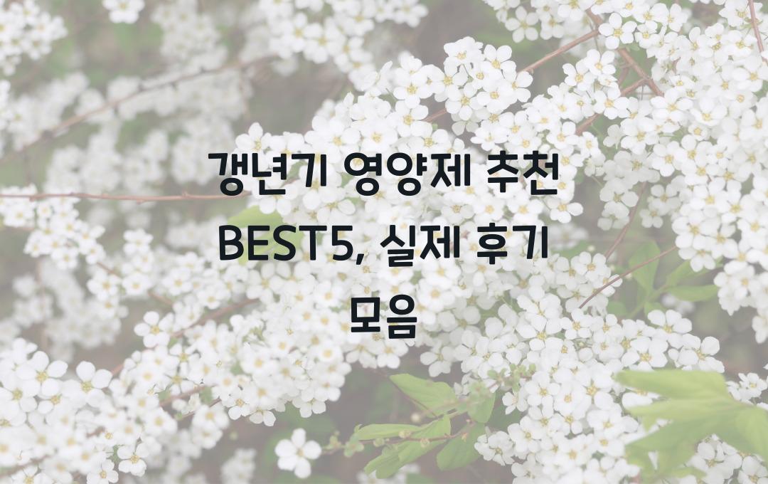 갱년기 영양제 추천 BEST5, 후기 모음