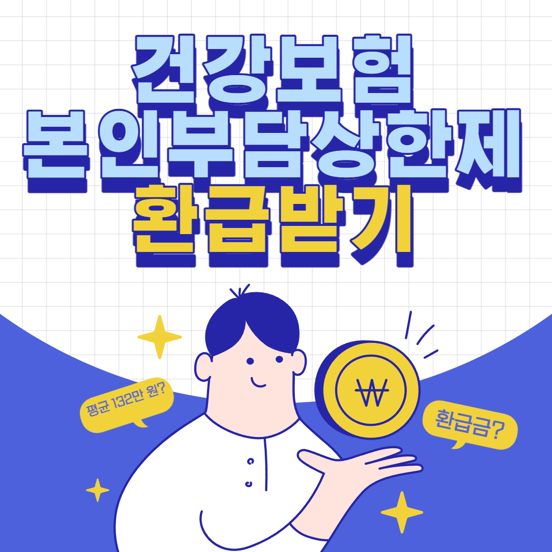 건강보험 본인부담상한제