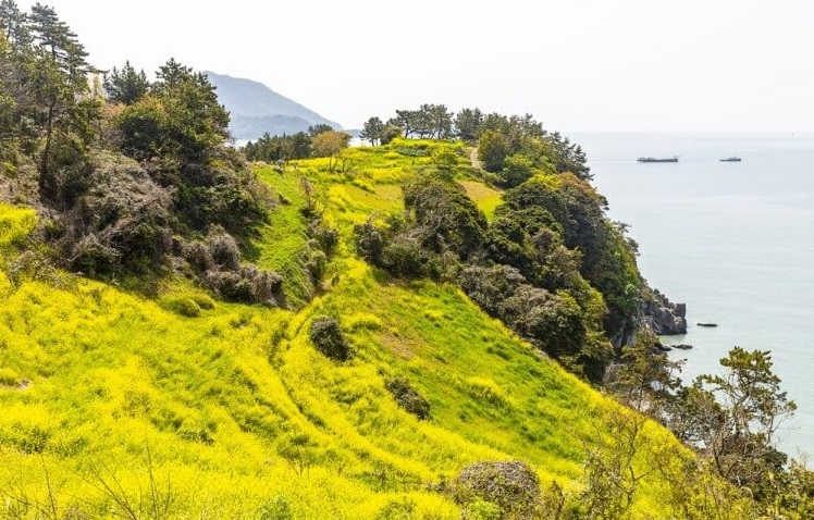 여수하화도사도추도트레킹사진