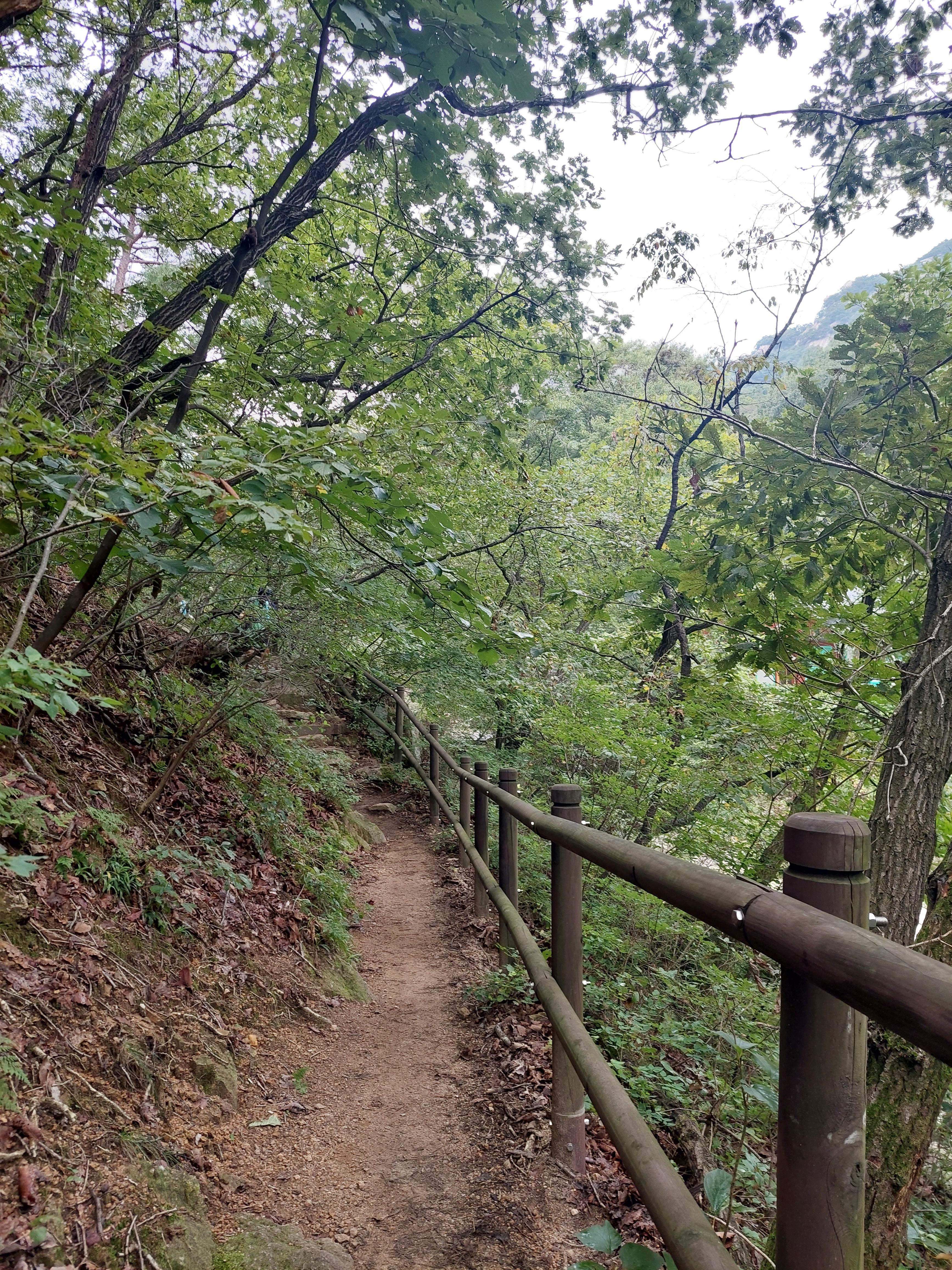 사패산