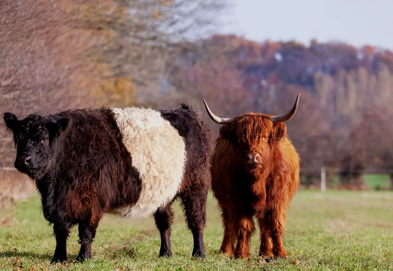 농학적으로 살펴본 작물 수분 스트레스 반응 메커니즘