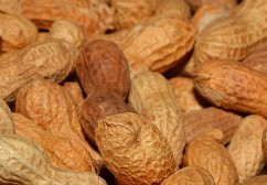 아몬드 효능 땅콩 효능