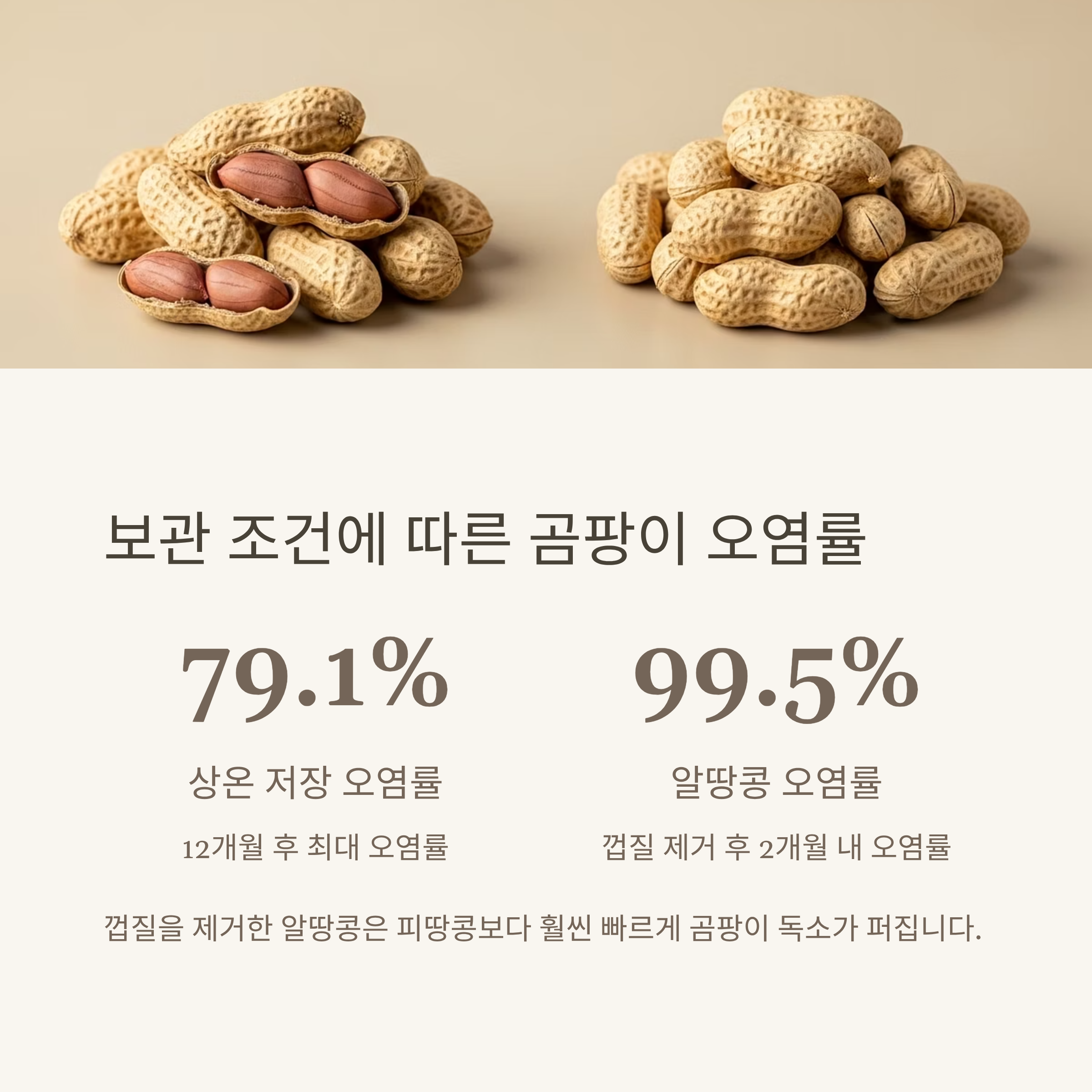 보관 조건에 따른 곰팡이 오염률