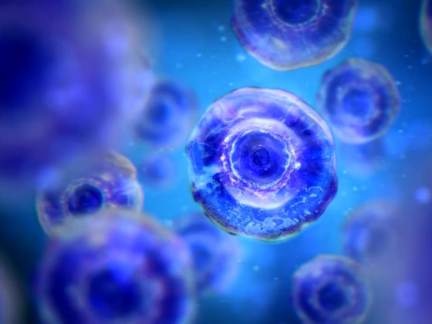 리보플라빈 효능