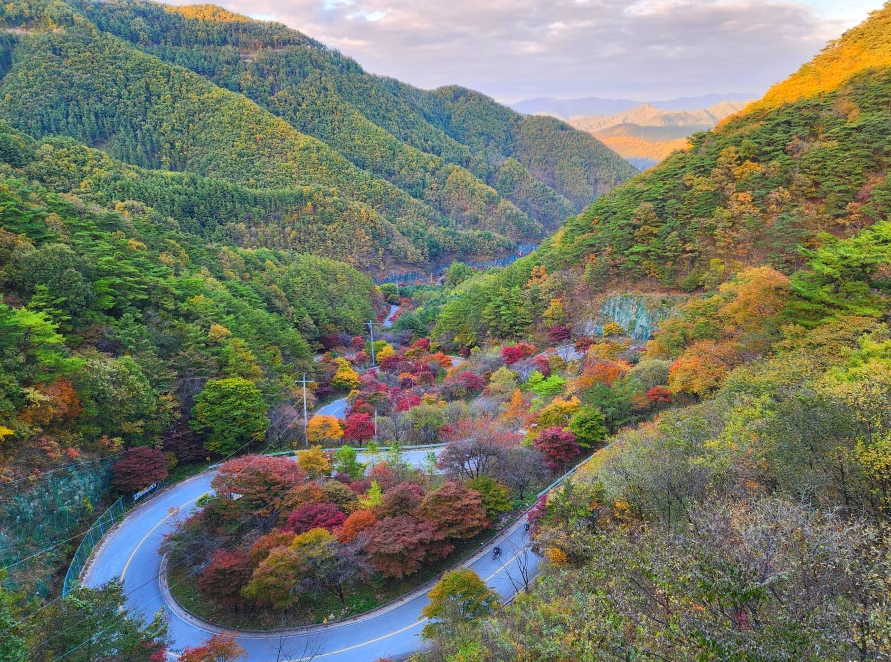 보발재