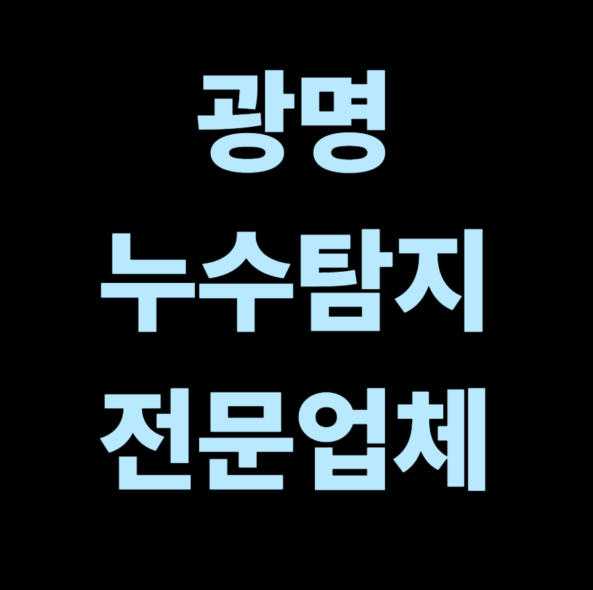 광명 누수탐지 전문업체