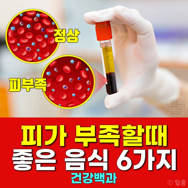 피가 부족할때 좋은 음식 피부족에 좋은 음식