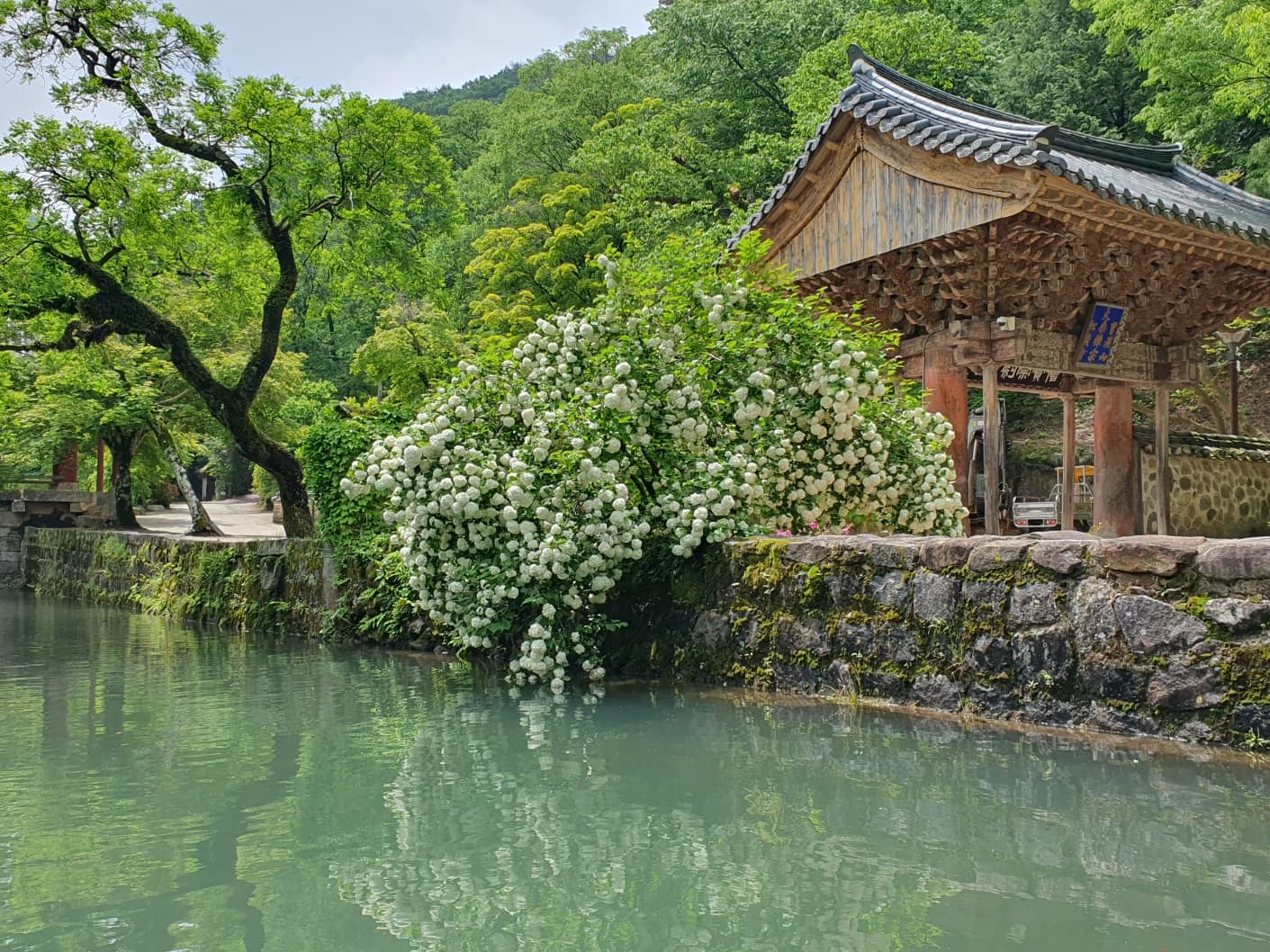소원 성취 기도발 좋은 전라도 사찰 순천 송광사