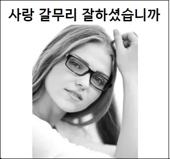 사랑 갈무리 잘하셨습니까