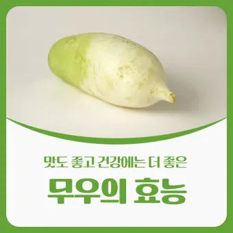 무우 효능 부작용 섭취 방법_16