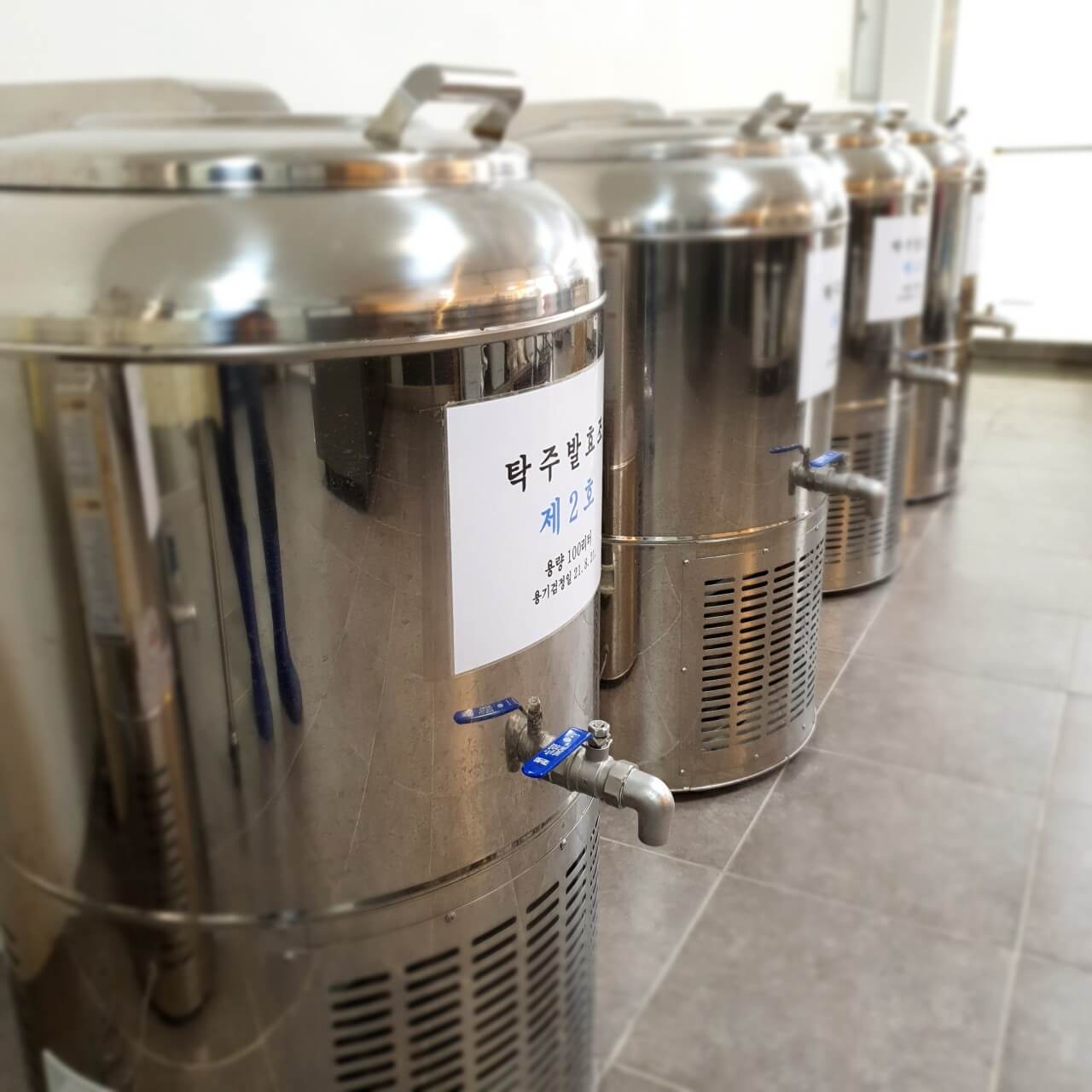 오늘N 수상한 가족 양평 국화막걸리 &amp;#39;겨울아이 동국이&amp;#39; 양평맑은술도가 오늘N 2504회