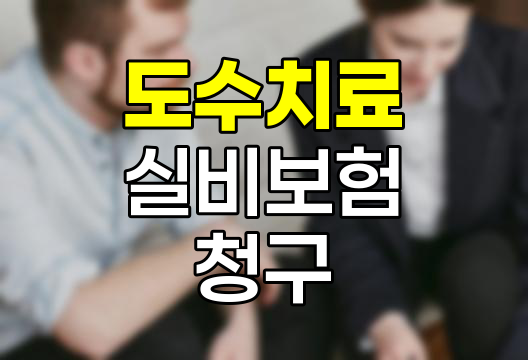 도수치료 실비보험 청구 절차