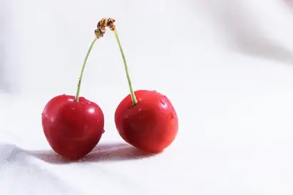 통풍에 좋은 음식