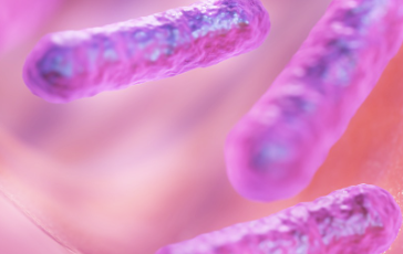 방귀가 많이 나오는 이유 31