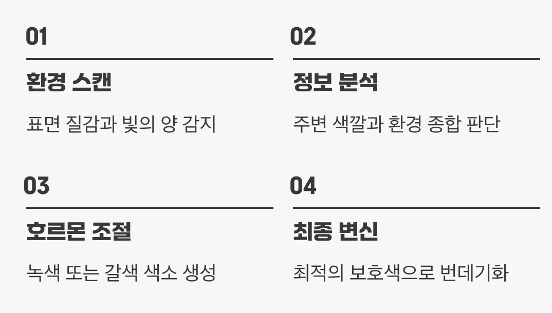 색깔을 결정하는 순간