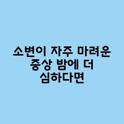 소변이 자주 마려운 증상 밤에 더 심하다면