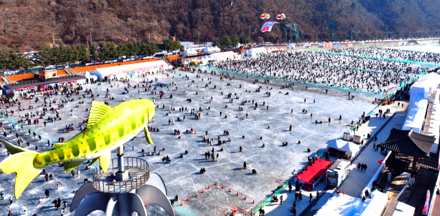 화천 산천어 축제