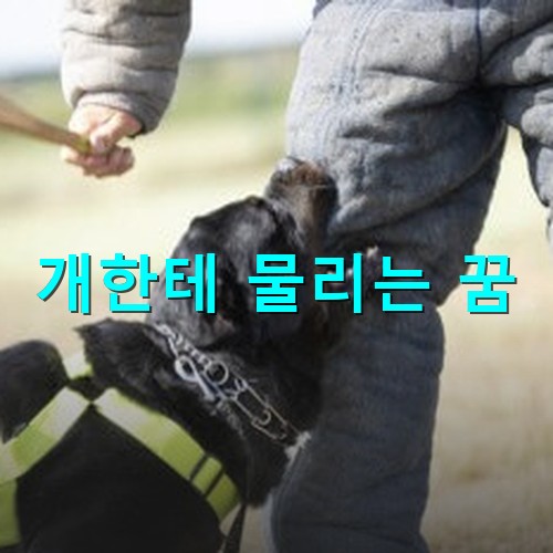 사육사가-개-훈련도중-개가-바지를-물어띁는-모습