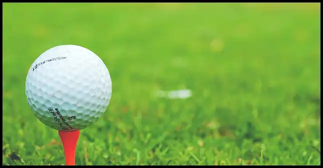 파크골프 경기규칙 (+ ob처치 방법 )