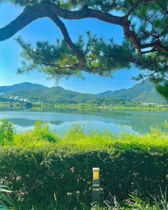 양평 가볼만한곳 베스트10 두물머리 연잎핫도그_17