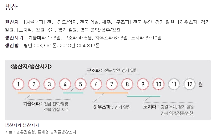 싱싱하게 자란 대파의 모습과 수확 안내